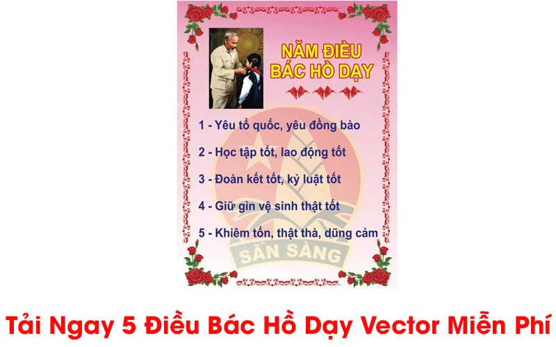 5-dieu-bac-ho-day-vector