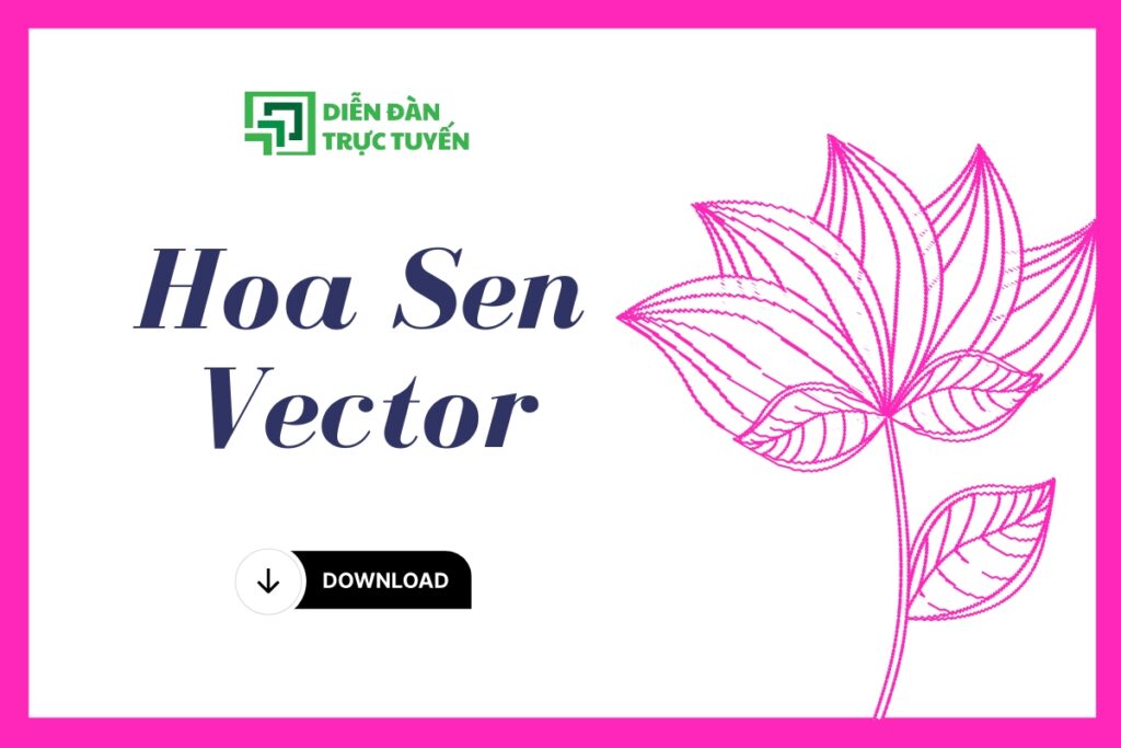 Hoa Sen vector