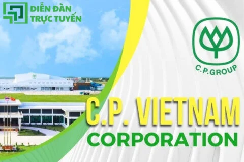 logo-cp-group-vector